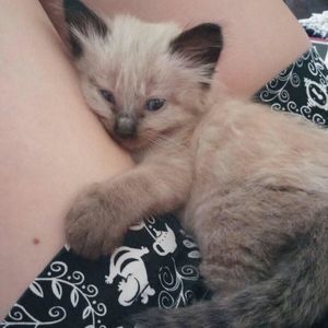 Meet your Posher, Corrine